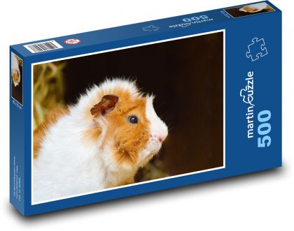 Morča - domáce zviera, mláďa - Puzzle 500 dielikov, rozmer 46x30 cm 