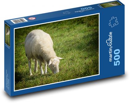 Schafe auf der Weide - Puzzle - 500 Teile