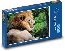 Lew - dzika bestia Puzzle 500 elementów - 46x30 cm