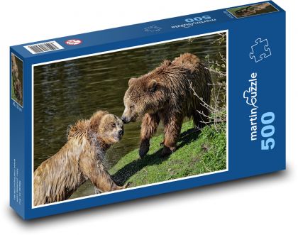 Medvěd hnědý - zvíře, hra - Puzzle 500 dílků, rozměr 46x30 cm
