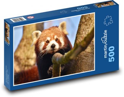 Red Panda - animal, bear - Puzzle of 500 pieces, size 46x30 cm 