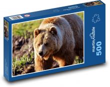Brown bear - mammal, animal Puzzle of 500 pieces - 46 x 30 cm 