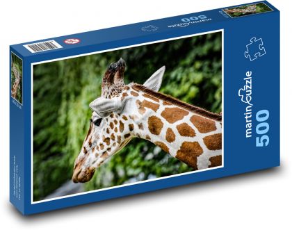 Žirafa - Afrika, zoo - Puzzle 500 dílků, rozměr 46x30 cm