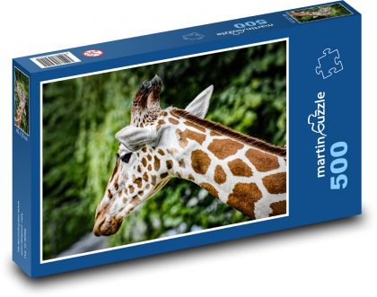 Žirafa - Afrika, zoo - Puzzle 500 dílků, rozměr 46x30 cm
