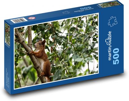 Veverka - hlodavec, zvíře - Puzzle 500 dílků, rozměr 46x30 cm