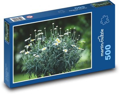Gänseblümchen - Blumen, Garten - Puzzle - 500 Teile