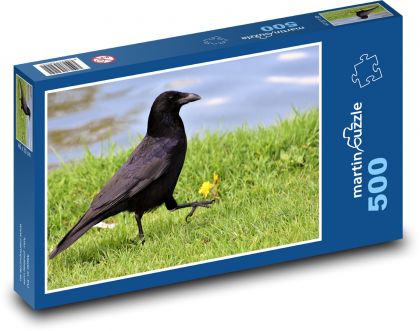 Vrána - pták, zvíře - Puzzle 500 dílků, rozměr 46x30 cm