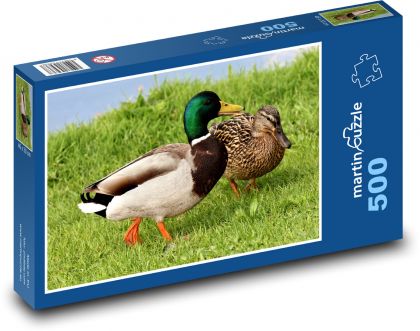 Wildenten auf dem Gras - Puzzle - 500 Teile