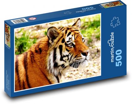 Tygr - velká kočka, dravec - Puzzle 500 dílků, rozměr 46x30 cm