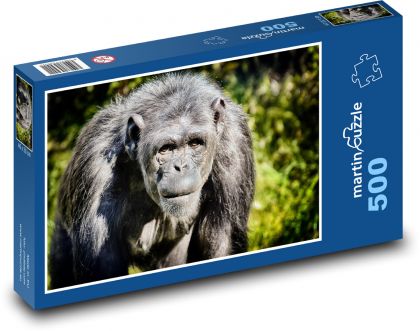 Šimpanz - opice, zoo - puzzle 500 dílků
