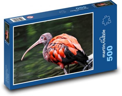Ibis - mládě, pták - Puzzle 500 dílků, rozměr 46x30 cm