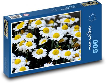 Stokrotka - kwiaty, łąka - Puzzle 500 elementów, rozmiar 46x30 cm