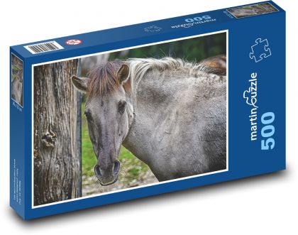 Divoký kůň - tarpan, zvíře - Puzzle 500 dílků, rozměr 46x30 cm