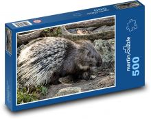Porcupine at the zoo Puzzle of 500 pieces - 46 x 30 cm