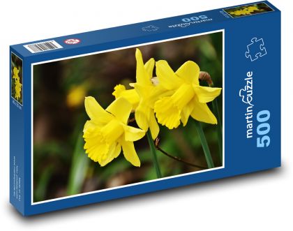 Narcisy - jaro, květ - Puzzle 500 dílků, rozměr 46x30 cm