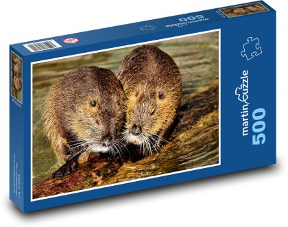 Nutrie - water rat, rodent - Puzzle of 500 pieces, size 46x30 cm 
