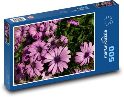 Gerbera - purple flower, summer - Puzzle of 500 pieces, size 46x30 cm 