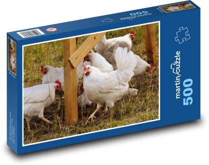 Bílé slepice na trávě - puzzle 500 dílků