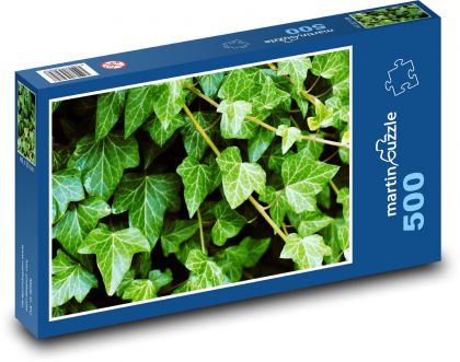 Bluszcz - roślina, ogród - Puzzle 500 elementów, rozmiar 46x30 cm