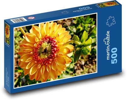 Żółta dalia - kwiat, roślina - Puzzle 500 elementów, rozmiar 46x30 cm