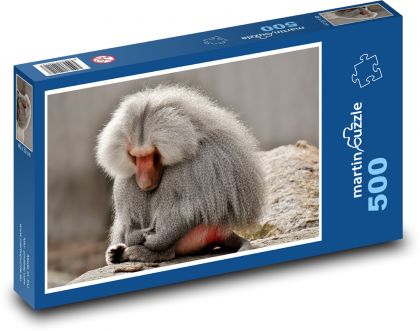 Pavián - opice, zoo - Puzzle 500 dílků, rozměr 46x30 cm