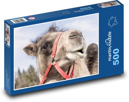 Camel - animal, mammal - Puzzle of 500 pieces, size 46x30 cm 