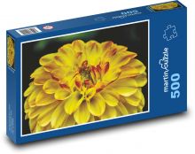 Żółta dalia - kwiat ogrodowy Puzzle 500 elementów - 46x30 cm