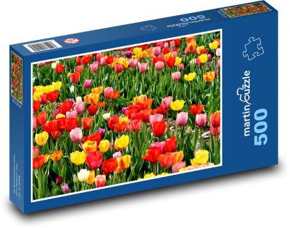 Tulipány - zahrada, jarní květiny - Puzzle 500 dílků, rozměr 46x30 cm
