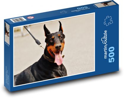 Dobrman - pes, domácí zvíře - Puzzle 500 dílků, rozměr 46x30 cm