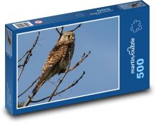 Poštolka - dravec, pták Puzzle 500 dílků - 46 x 30 cm