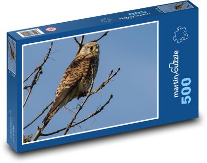 Poštolka - dravec, pták - Puzzle 500 dílků, rozměr 46x30 cm
