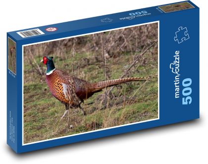 Bažant - pták, zvíře - Puzzle 500 dílků, rozměr 46x30 cm