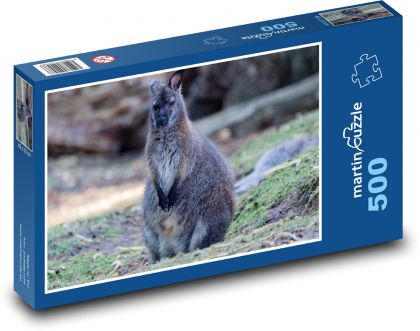 Kangaroo - animal, Australia - Puzzle of 500 pieces, size 46x30 cm 