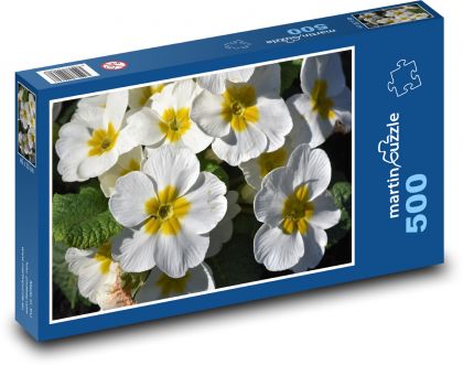 Pierwiosnek - pierwiosnek, wiosenny kwiat - Puzzle 500 elementów, rozmiar 46x30 cm