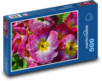 Primule - petrklíč, květina - Puzzle 500 dílků, rozměr 46x30 cm