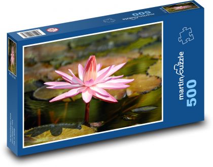 Růžový leknín - vodní květina, květ - Puzzle 500 dílků, rozměr 46x30 cm