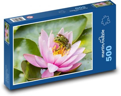 Frosch - Seerose, Teich - Puzzle - 500 Teile