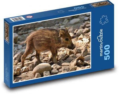 Divočák - selátko, prase - puzzle 500 dílků