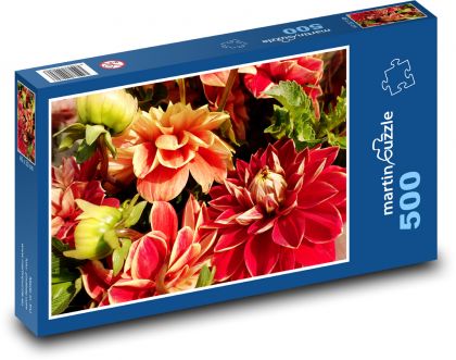 Jiřiny - květiny, zahrada - Puzzle 500 dílků, rozměr 46x30 cm