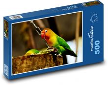 Kolorowa papuga Puzzle 500 elementów - 46x30 cm