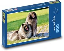 Špic - pes, domácí zvíře Puzzle 500 dílků - 46 x 30 cm