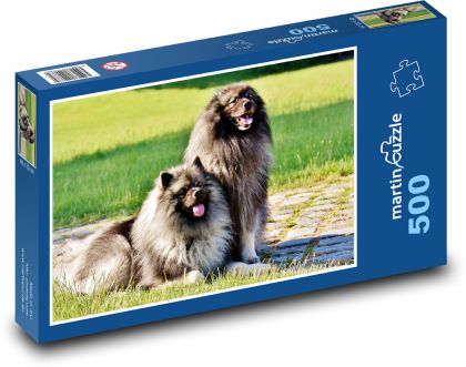 Špic - pes, domácí zvíře - puzzle 500 dílků