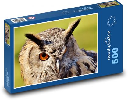 Owl - bird, animal - Puzzle of 500 pieces, size 46x30 cm 
