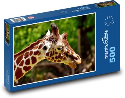 Żyrafa - zoo, zwierząt - Puzzle 500 elementów, rozmiar 46x30 cm