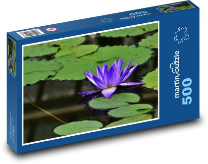 Leknín - rybník, voda - Puzzle 500 dílků, rozměr 46x30 cm