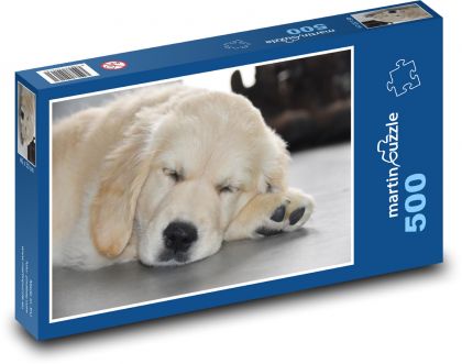 Sleeping dog - golden retriever, puppy - Puzzle of 500 pieces, size 46x30 cm 