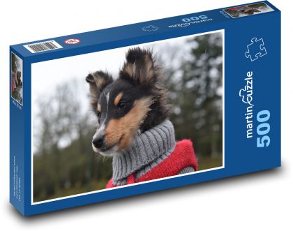 Owczarek Szetlandzki - pies, zwierzę - Puzzle 500 elementów, rozmiar 46x30 cm