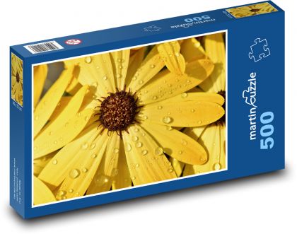 Okvětní lístky - květiny  - Puzzle 500 dílků, rozměr 46x30 cm