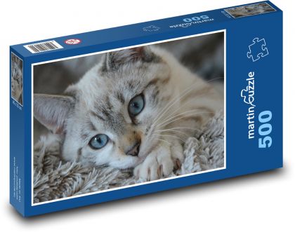 Kociak na kocu - Puzzle 500 elementów, rozmiar 46x30 cm