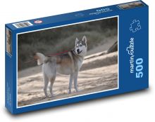 Dog - husky, winter Puzzle of 500 pieces - 46 x 30 cm 